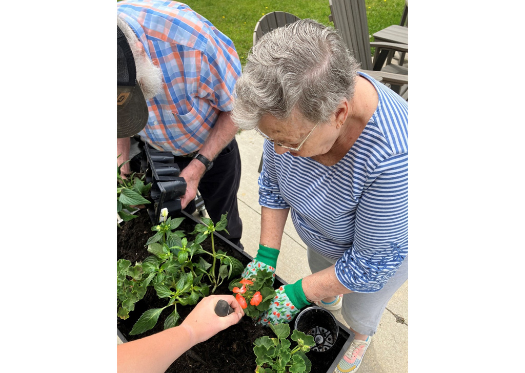 Residents at Meadowview of Johnston planting flowers together in a raised garden bed, using gloves and tools during an outdoor memory care activity in the courtyard.